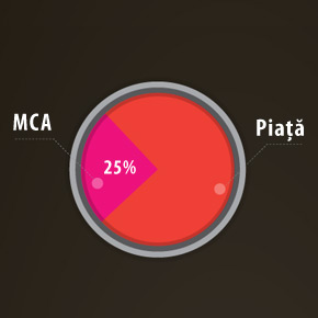 MCA, cel mai mare producator national de usi de garaj, tinteste 25% din piata
